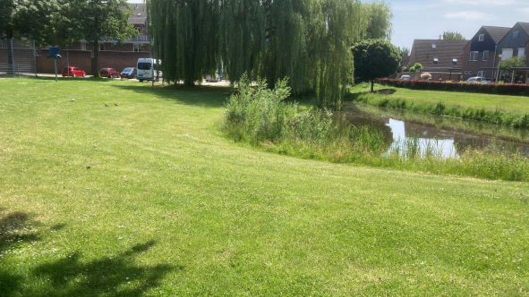 groen_in westervoort